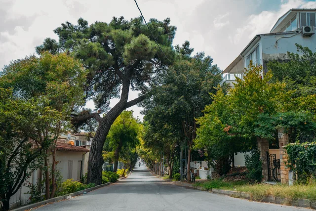 Oak Tree neighborhood in Edison, New Jersey