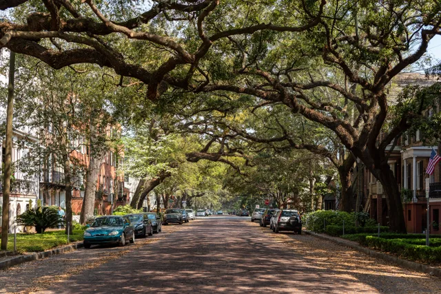 Oak Street neighborhood in Lakewood, New Jersey